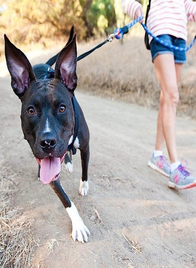 Pups&Pets Durable Leash Rope 12MM Nylon Reflector Rope Laesh with Heavy Hook Ideal for Outddor Walking Small & Medium Dogs and Puppies (Blue) - Image 5